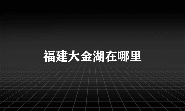 福建大金湖在哪里