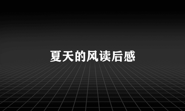 夏天的风读后感