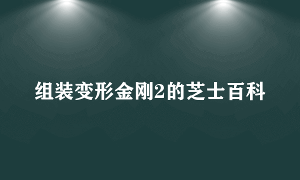 组装变形金刚2的芝士百科