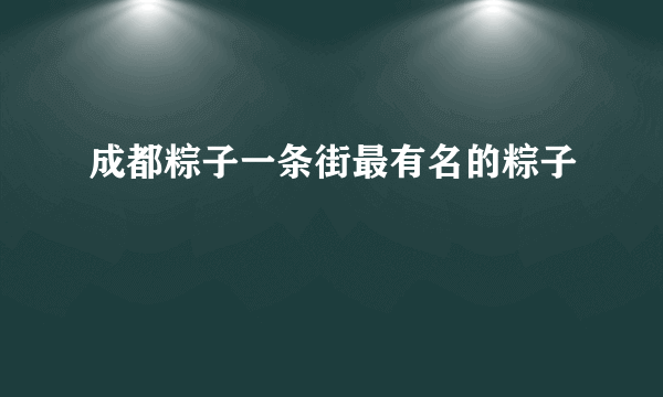 成都粽子一条街最有名的粽子
