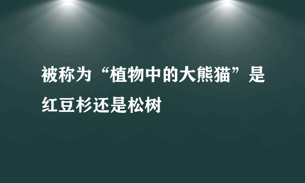 被称为“植物中的大熊猫”是红豆杉还是松树