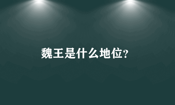 魏王是什么地位？