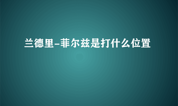 兰德里-菲尔兹是打什么位置