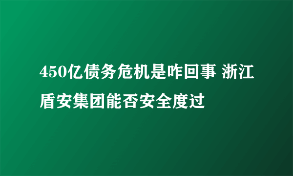 450亿债务危机是咋回事 浙江盾安集团能否安全度过
