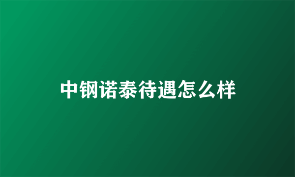 中钢诺泰待遇怎么样