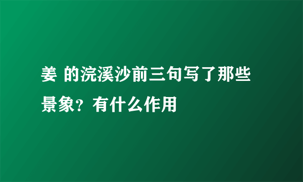 姜 的浣溪沙前三句写了那些景象？有什么作用