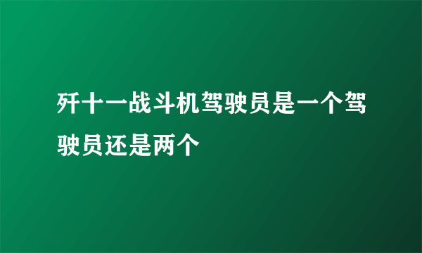 歼十一战斗机驾驶员是一个驾驶员还是两个