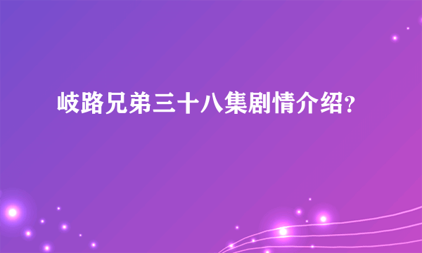 岐路兄弟三十八集剧情介绍？