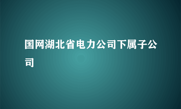 国网湖北省电力公司下属子公司