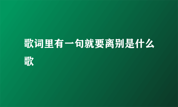 歌词里有一句就要离别是什么歌