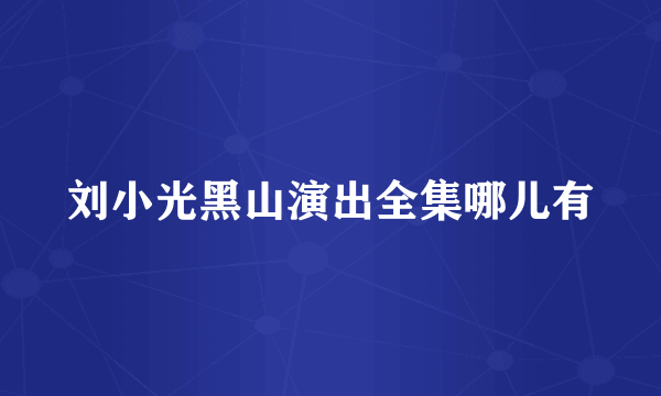 刘小光黑山演出全集哪儿有