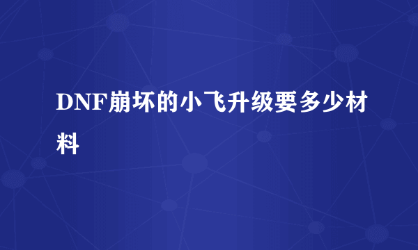 DNF崩坏的小飞升级要多少材料