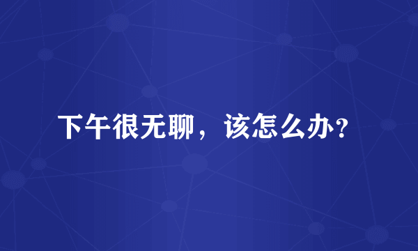 下午很无聊，该怎么办？