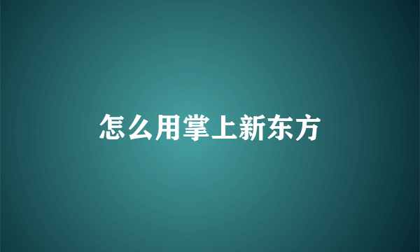 怎么用掌上新东方