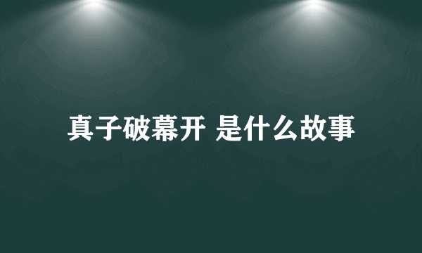 真子破幕开 是什么故事