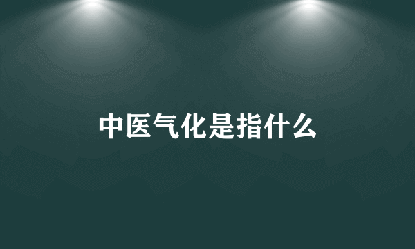 中医气化是指什么