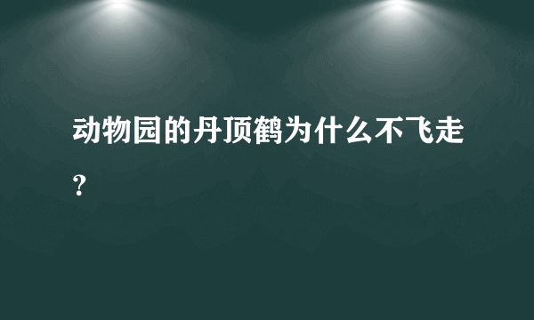 动物园的丹顶鹤为什么不飞走？