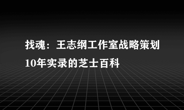 找魂：王志纲工作室战略策划10年实录的芝士百科