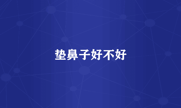 垫鼻子好不好