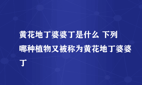 黄花地丁婆婆丁是什么 下列哪种植物又被称为黄花地丁婆婆丁