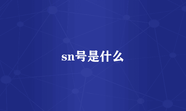 sn号是什么