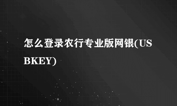 怎么登录农行专业版网银(USBKEY)