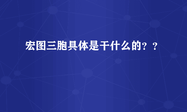 宏图三胞具体是干什么的？？