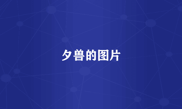 夕兽的图片
