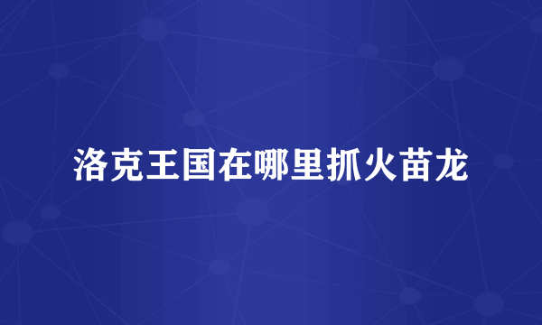 洛克王国在哪里抓火苗龙