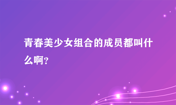 青春美少女组合的成员都叫什么啊？