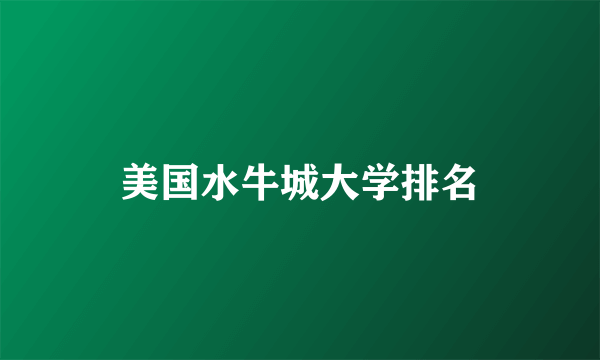 美国水牛城大学排名