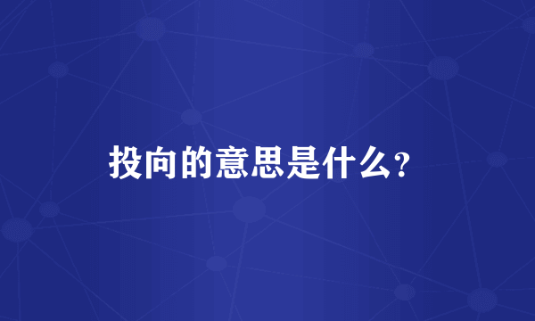投向的意思是什么？