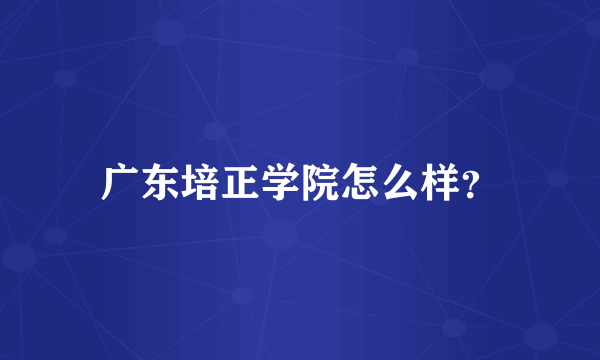 广东培正学院怎么样？