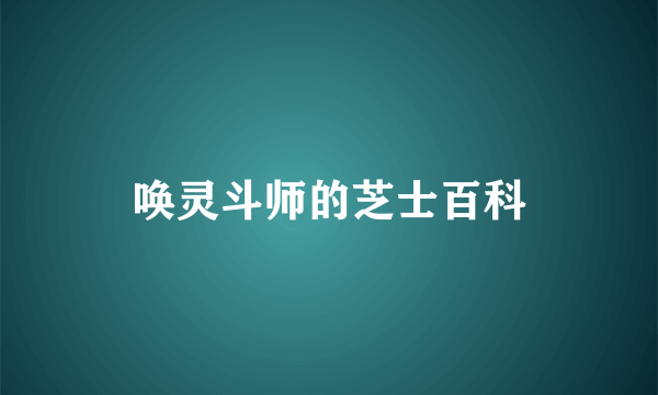 唤灵斗师的芝士百科