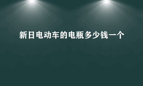 新日电动车的电瓶多少钱一个