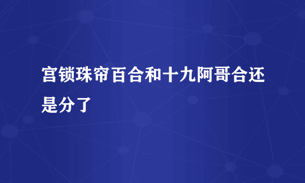 宫锁珠帘百合和十九阿哥合还是分了