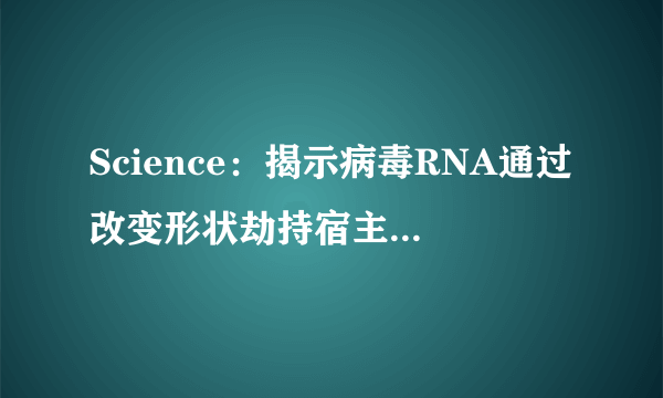 Science：揭示病毒RNA通过改变形状劫持宿主细胞机制
