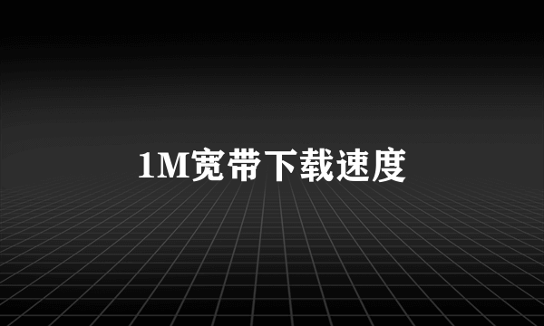 1M宽带下载速度