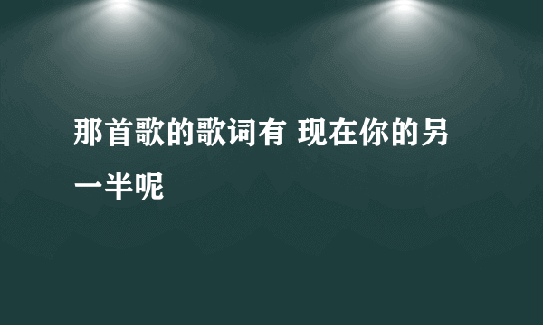 那首歌的歌词有 现在你的另一半呢