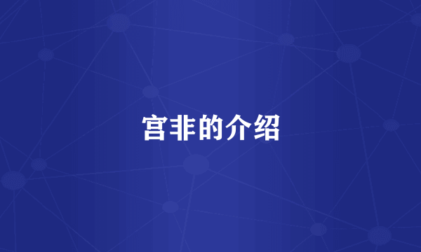 宫非的介绍