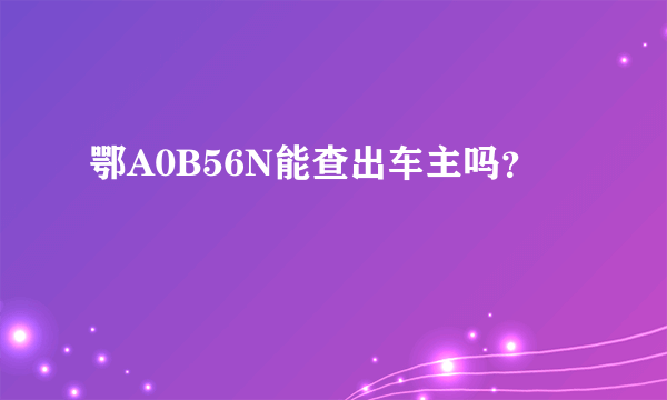 鄂A0B56N能查出车主吗？