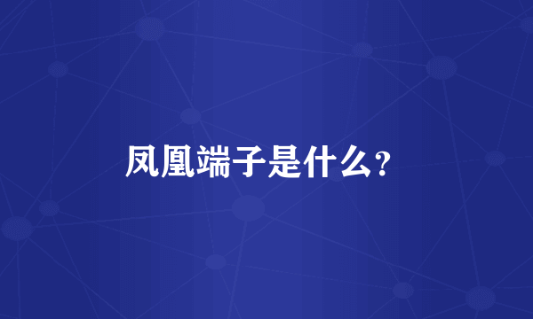 凤凰端子是什么？