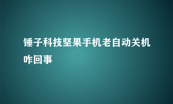 锤子科技坚果手机老自动关机咋回事