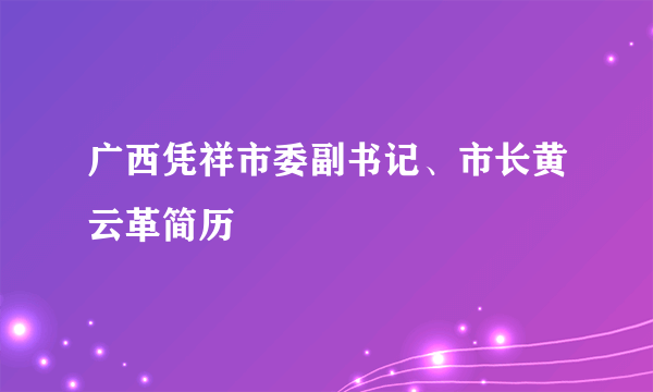 广西凭祥市委副书记、市长黄云革简历