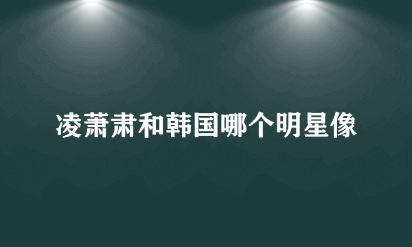 凌萧肃和韩国哪个明星像