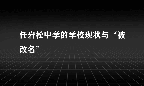 任岩松中学的学校现状与“被改名”