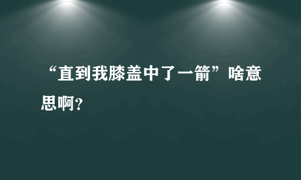 “直到我膝盖中了一箭”啥意思啊？
