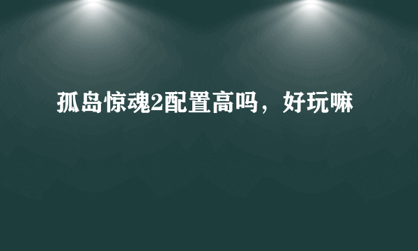 孤岛惊魂2配置高吗，好玩嘛