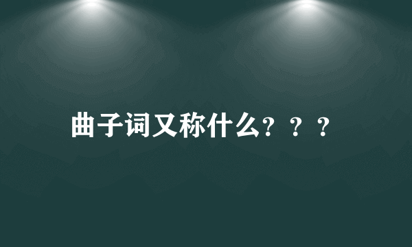 曲子词又称什么？？？