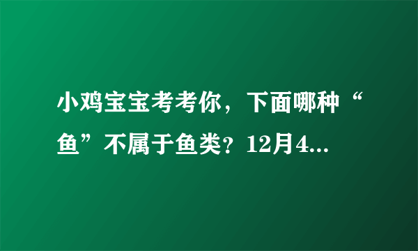 小鸡宝宝考考你，下面哪种“鱼”不属于鱼类？12月4日蚂蚁庄园今日答案